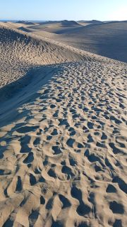 GC-Dunas de Maspalomas sunset 2026-041.jpg